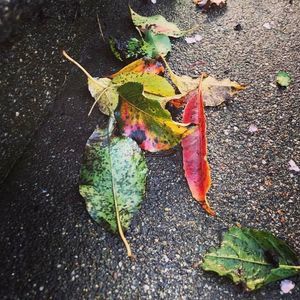 Meet your Posher, Ted